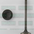 Valve Exhaust MITSUBISHI 4G15 12V SOHC EX5348 - NASON