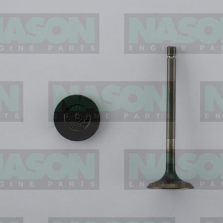 Valve Exhaust TOYOTA 1E 2E 3E EX5577 - Nason