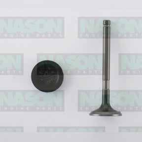 Valve Exhaust TOYOTA 1RZ CYL EXH EX5580 - NASON