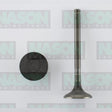 Valve Exhaust TOYOTA 3B 14B 08/88> EX5599 - NASON