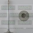 Valve Exhaust HOLDEN V8 1.594 HEAD S/S EX6913 - NASON