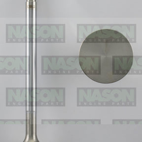 Valve Exhaust HOLDEN V8 1.606 HEAD S/S EX6915 - NASON