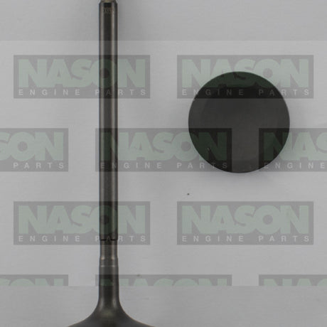 Valve Exhaust MITSUBISHI 6G75 EX8929 - Nason