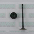 Valve Exhaust HOLDEN/DAEWOO F16D3 EX8933 - NASON