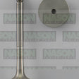 Valve Exhaust VW Audi AXR BSW SOHC 8V 10V EX8957 - FAI