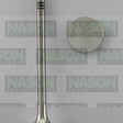Valve Exhaust VW Audi CBAB CBBB CSHA DOHC 16 EX8977 - FAI