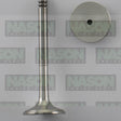 Valve Exhaust VWAudi BJB AXB AXC BLS SOHC 8V EX8981 - FAI