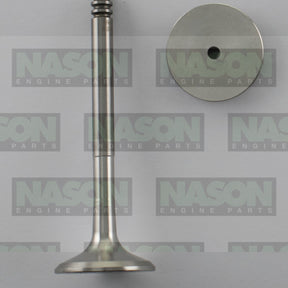 Valve Exhaust VWAudi BJB AXB AXC BLS SOHC 8V EX8981 - FAI