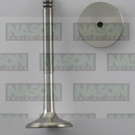 Valve Exhaust VWAudi BJB AXB AXC BLS SOHC 8V EX8981 - FAI