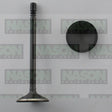Valve Exhaust JEEP 3.7 & 4.7 EX8989 - SBI