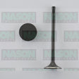Valve Exhaust VW Audi DOHC 16V/20V/30V EX8995 - NASON
