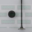 Valve Exhaust HOLDEN Z18XER F18D4 DOHC 16V EX9003 - Nason
