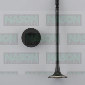 Valve Exhaust HOLDEN Z18XER F18D4 DOHC 16V EX9003 - Nason
