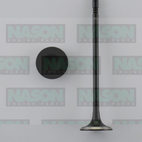 Valve Exhaust HOLDEN Z18XER F18D4 DOHC 16V EX9003 - Nason