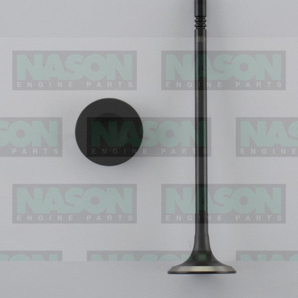 Valve Exhaust HOLDEN Z18XER F18D4 DOHC 16V EX9003 - Nason
