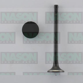 Valve Exhaust HOLDEN Z20S1 SOHC 16V DIESEL EX9005 - NASON