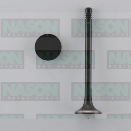 Valve Exhaust HOLDEN Z20S1 SOHC 16V DIESEL EX9005 - Nason