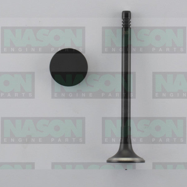 Valve Exhaust HOLDEN Z20S1 SOHC 16V DIESEL EX9005 - NASON