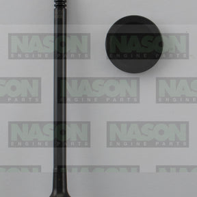 Valve Exhaust FORD Duratec25 B5254T DOHC 20V EX9007 - FAI