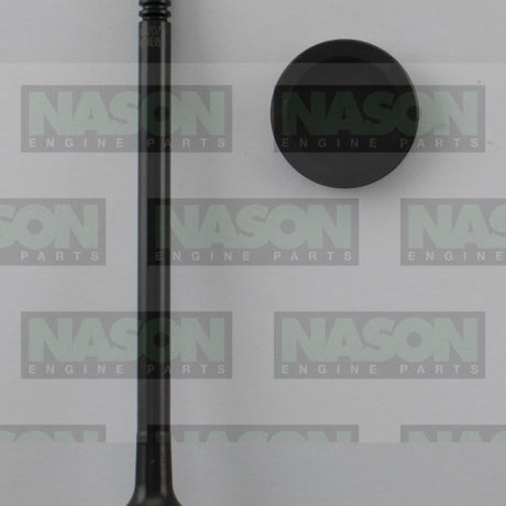 Valve Exhaust FORD Duratec25 B5254T DOHC 20V EX9007 - FAI