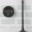 Valve Exhaust NISSAN VQ40A V6 DOHC 24V EX9013 - NASON
