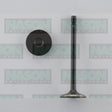 Valve Exhaust HOLDEN V6 3.0 3.6 SIDI DOHC EX9037 - NASON