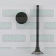 Valve Exhaust NISSAN YD22 YD25 EX9047 - NASON