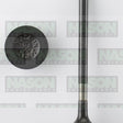 Valve Exhaust SUZUKI J20A H27A DOHC EX9049 - NASON