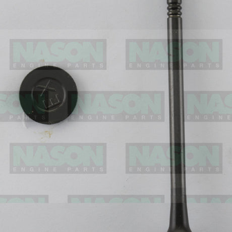 Valve Exhaust HYUNDAI D4FB EX9057 - Nason