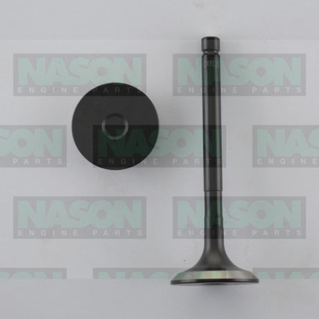 Valve Exhaust TOYOTA 1KZ-TE PRADO EX9125 - Nason