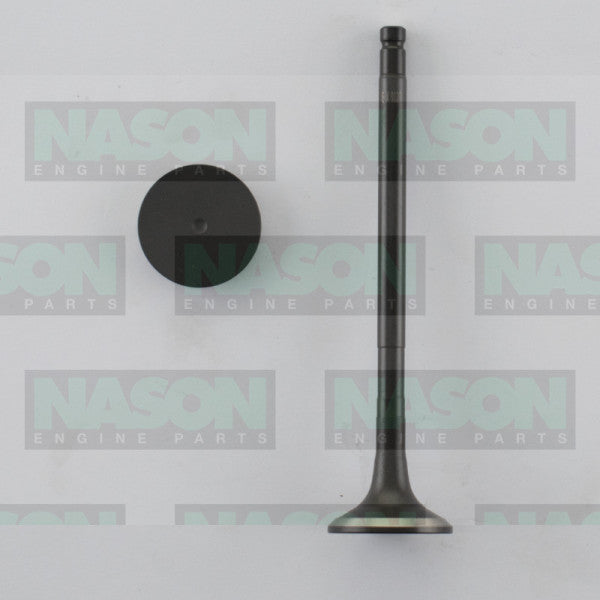 Valve Exhaust NISSAN YD22 YD25 EX9127 - NASON