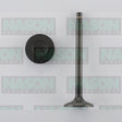 Valve Exhaust NISSAN KA24DE EX9151 - NASON