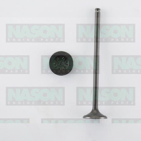 Valve Exhaust HONDA R18A R20A EX9153 - Nason
