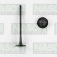 Valve Exhaust HOLDEN F18D4 DOHC 16V EX9155 - NASON