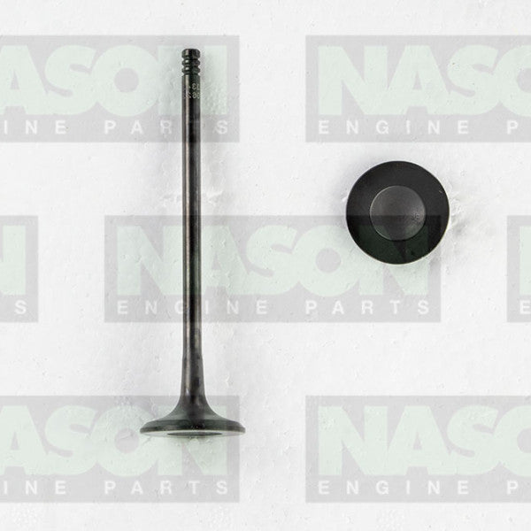 Valve Exhaust HOLDEN F18D4 DOHC 16V EX9155 - NASON