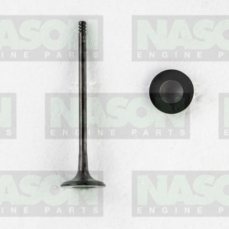 Valve Exhaust HOLDEN F18D4 DOHC 16V EX9155 - Nason