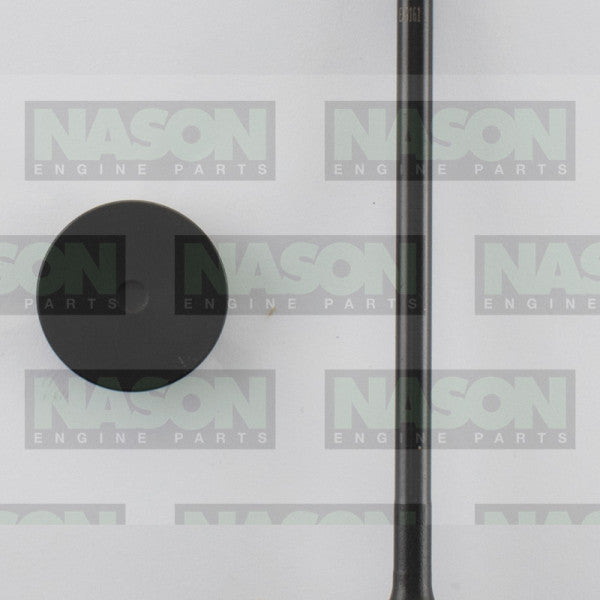 Valve Exhaust HOLDEN Z20D1 Z22D1 EX9161 - NASON