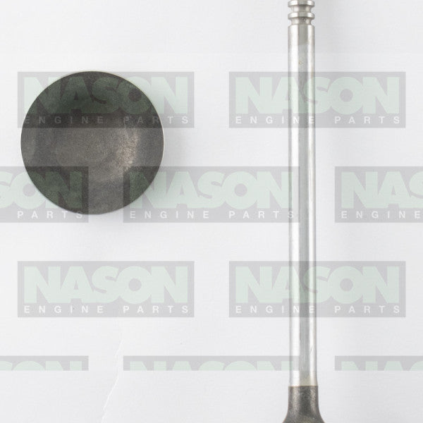 Valve Exhaust FORD 5.0L DOHC 32V MUSTANG EX9173 - NASON