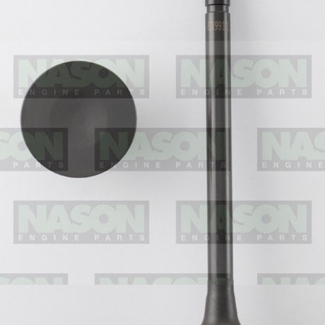 Valve Exhaust HOLDEN V8 253 308 EX9911 - Nason