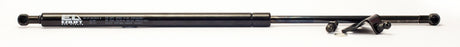 Strut Suit Nissan Hatch EZ3001 - Ezilift | Universal Auto Spares