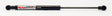 Strut Suit Canopies - Hard Lids EZ7040 - Ezilift | Universal Auto Spares