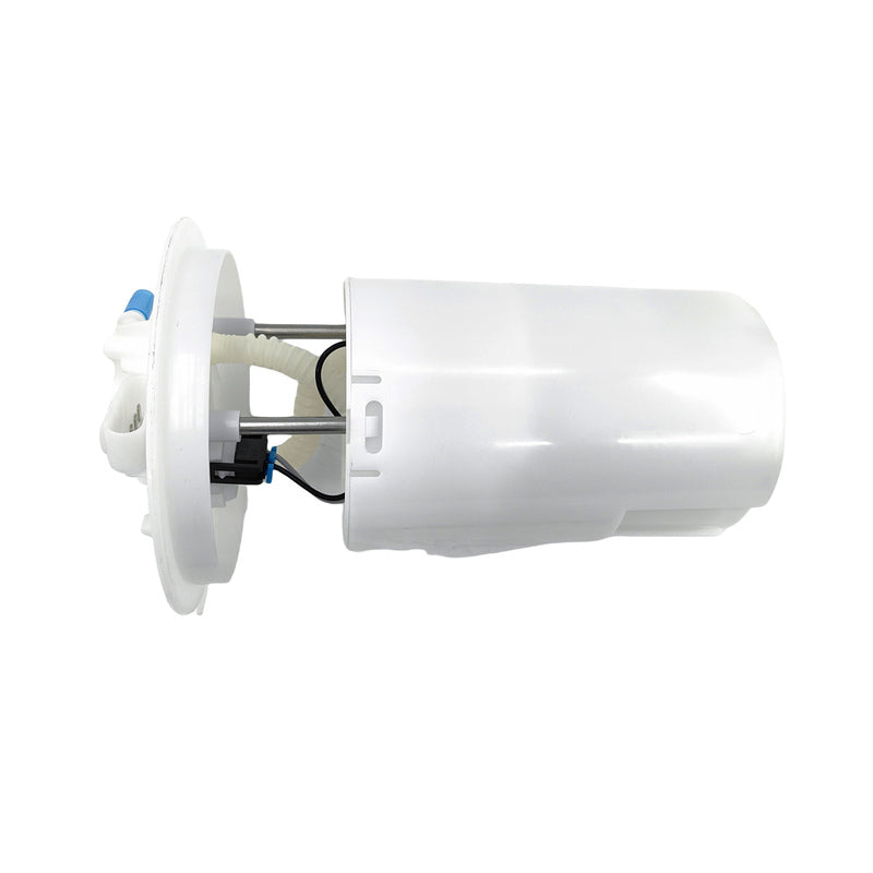 Electric Fuel Pump Assembly Fit For Ford Falcon BF FG FG-X Fairmont BF - Machter