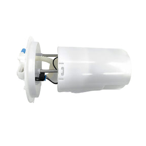 Electric Fuel Pump Assembly Fit For Ford Falcon BF FG FG-X Fairmont BF - Machter