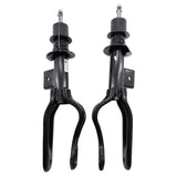 Machter 2 Pcs Front Shock Absorbers Fit For Tesla Model 3 5YJ3 AWD 2017-2021 FSA-TSL002 - Machter