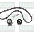 Timing Belt Kit Ford Citroen Peugeot 2.0L 2.2L FTK29 - INA