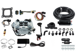GO EFI 4 200 - 600HP Alloy EFI System With Inline Fuel Delivery Kit FI31001 - FiTech - Fuel & Ignition - FiTech