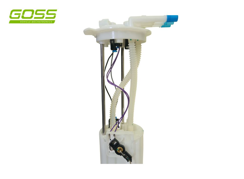 Fuel Pump Module GE163 - Goss