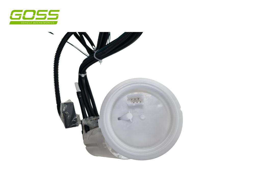 Fuel Pump Module GE352 - Goss