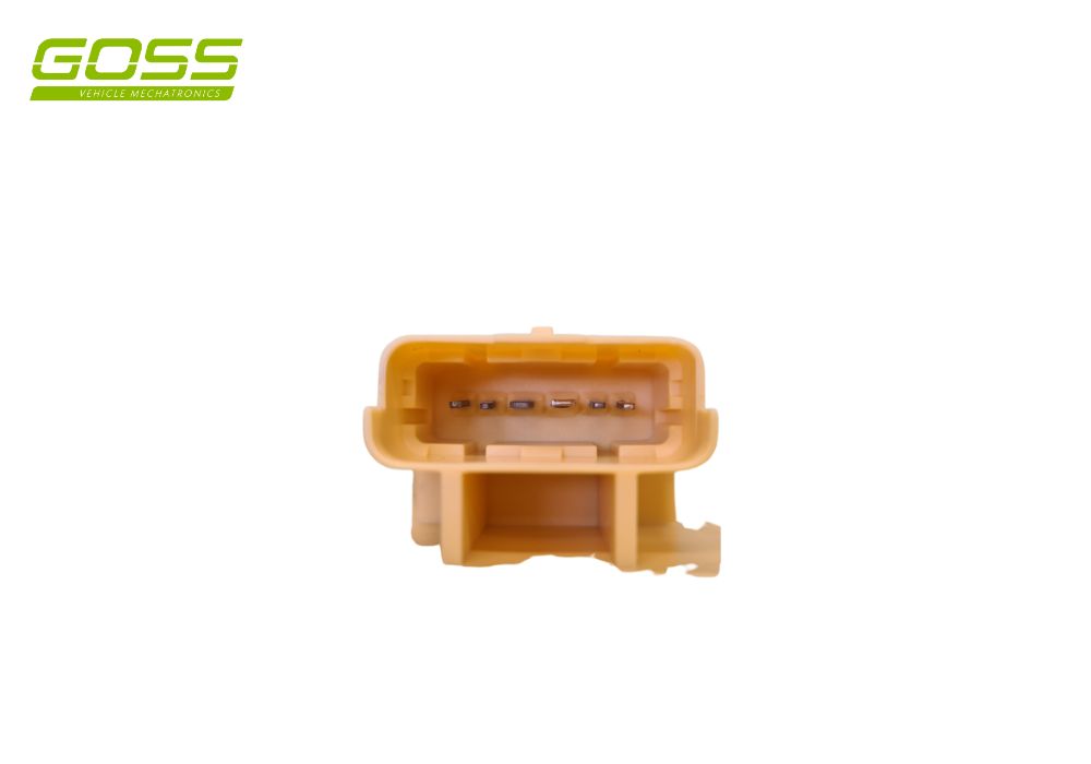 Fuel Pump Module GE555 - Goss