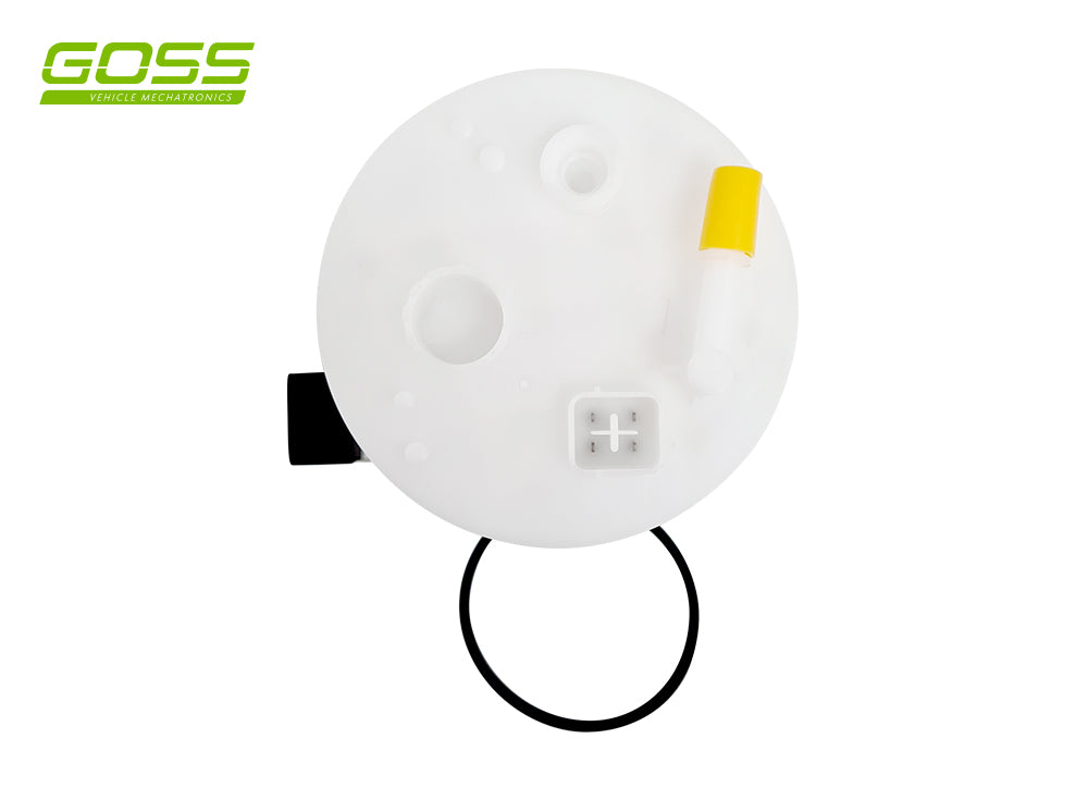 Fuel Pump Module GE601 - Goss